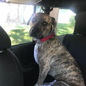 Meet your Posher, Jodi